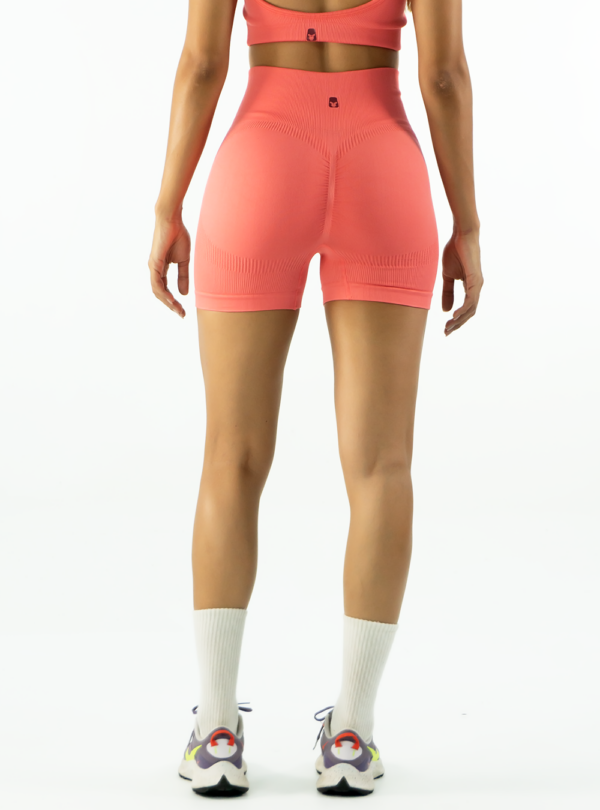 NORULES SHORT CON PUSH | SALMON