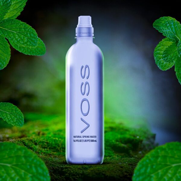 VOSS AGUA ARTESANAL | 500 ML