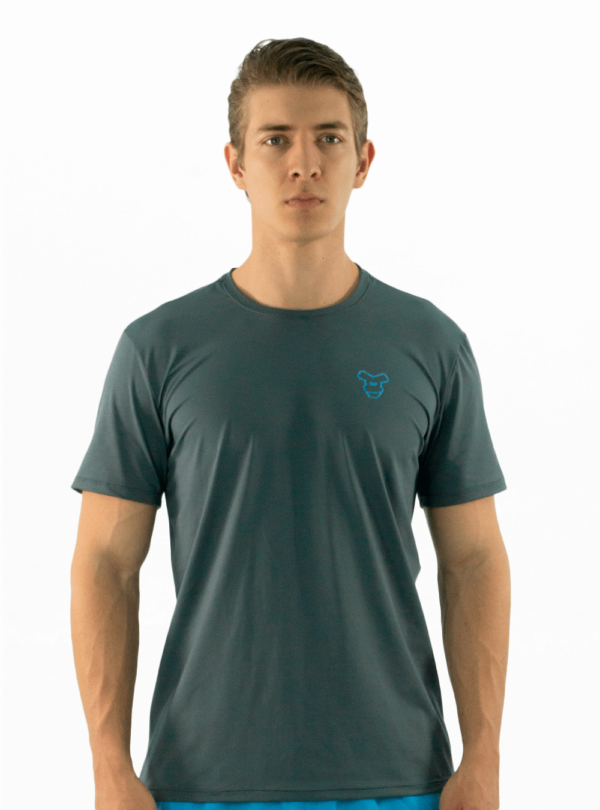 NORULES CAMISETA TELA FRIA | GRIS LOGO 3D