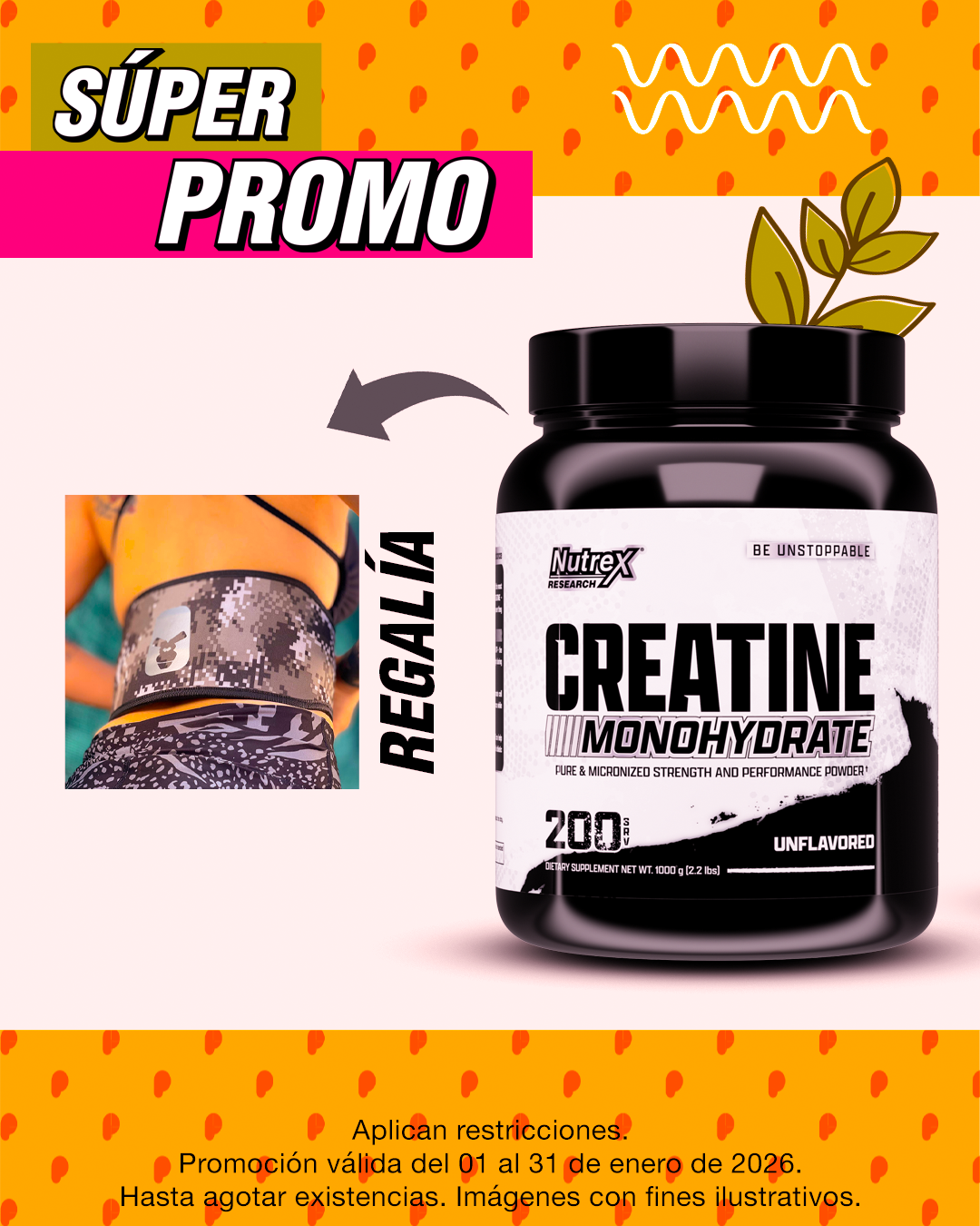 SÚPER PROMO | NUTREX CREATINA 200 SERVIDAS + REGALÍA NO RULES CINTURÓN NEOPRENO